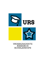 Undergraduate Research Scholarships